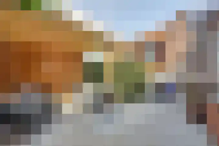 Vincent van Goghstraat 1 Raamsdonksveer thumbnail 34