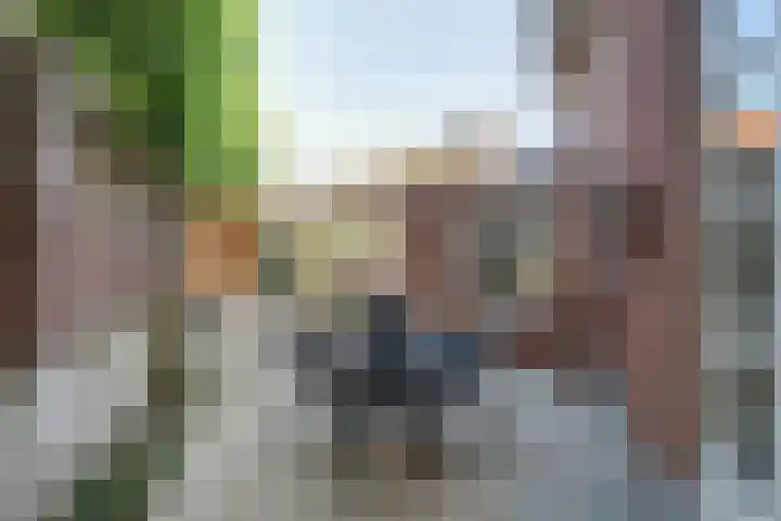 Vincent van Goghstraat 1 Raamsdonksveer thumbnail 35