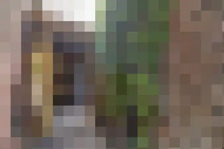 Vincent van Goghstraat 1 Raamsdonksveer thumbnail 36