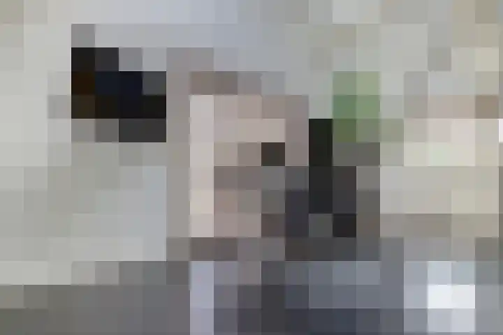 Vincent van Goghstraat 1 Raamsdonksveer thumbnail 4