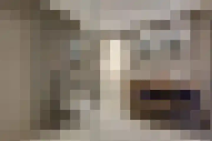 Vincent van Goghstraat 1 Raamsdonksveer thumbnail 5
