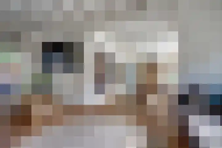 Vincent van Goghstraat 1 Raamsdonksveer thumbnail 7