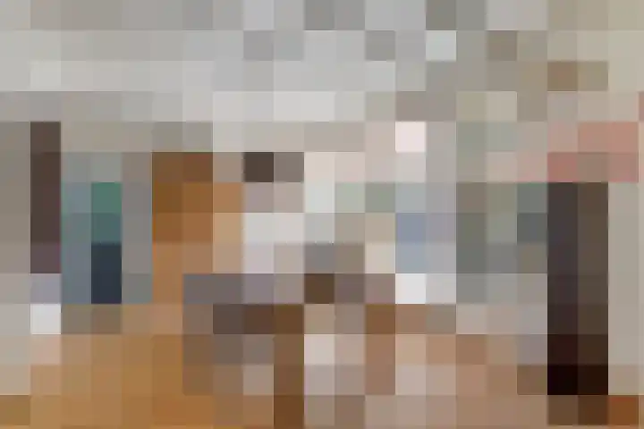 Vincent van Goghstraat 1 Raamsdonksveer thumbnail 8