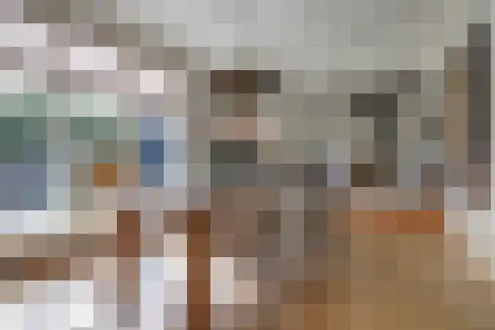 Vincent van Goghstraat 1 Raamsdonksveer thumbnail 9