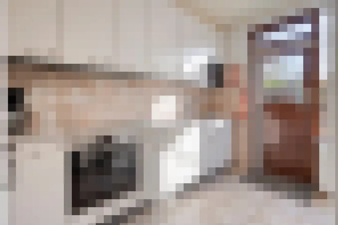 Vincent van Goghstraat 1 Schoondijke thumbnail 14