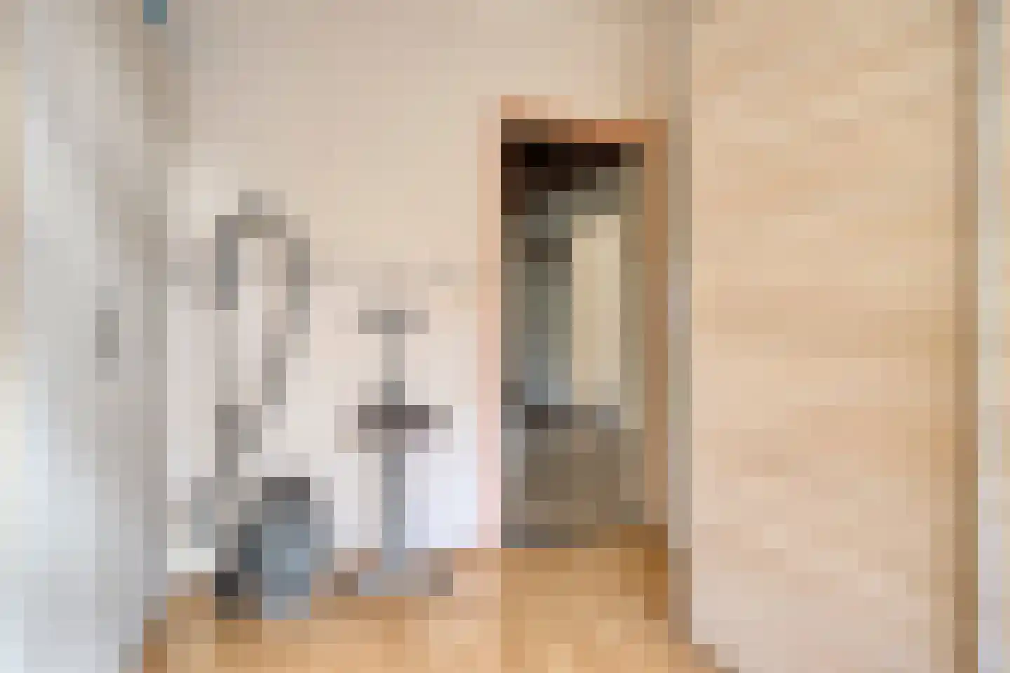 Vincent van Goghstraat 1 Schoondijke thumbnail 21