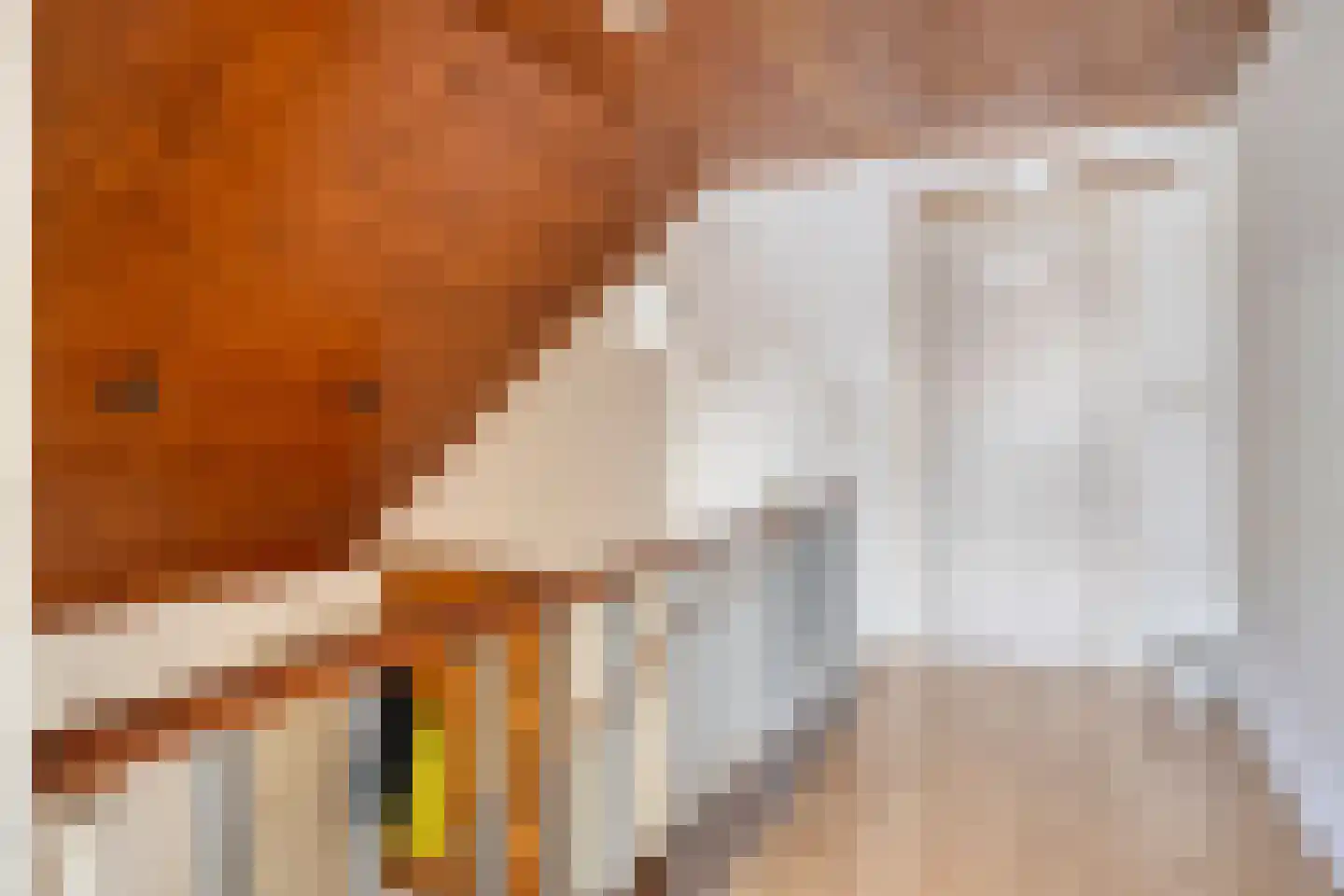 Vincent van Goghstraat 1 Schoondijke thumbnail 23