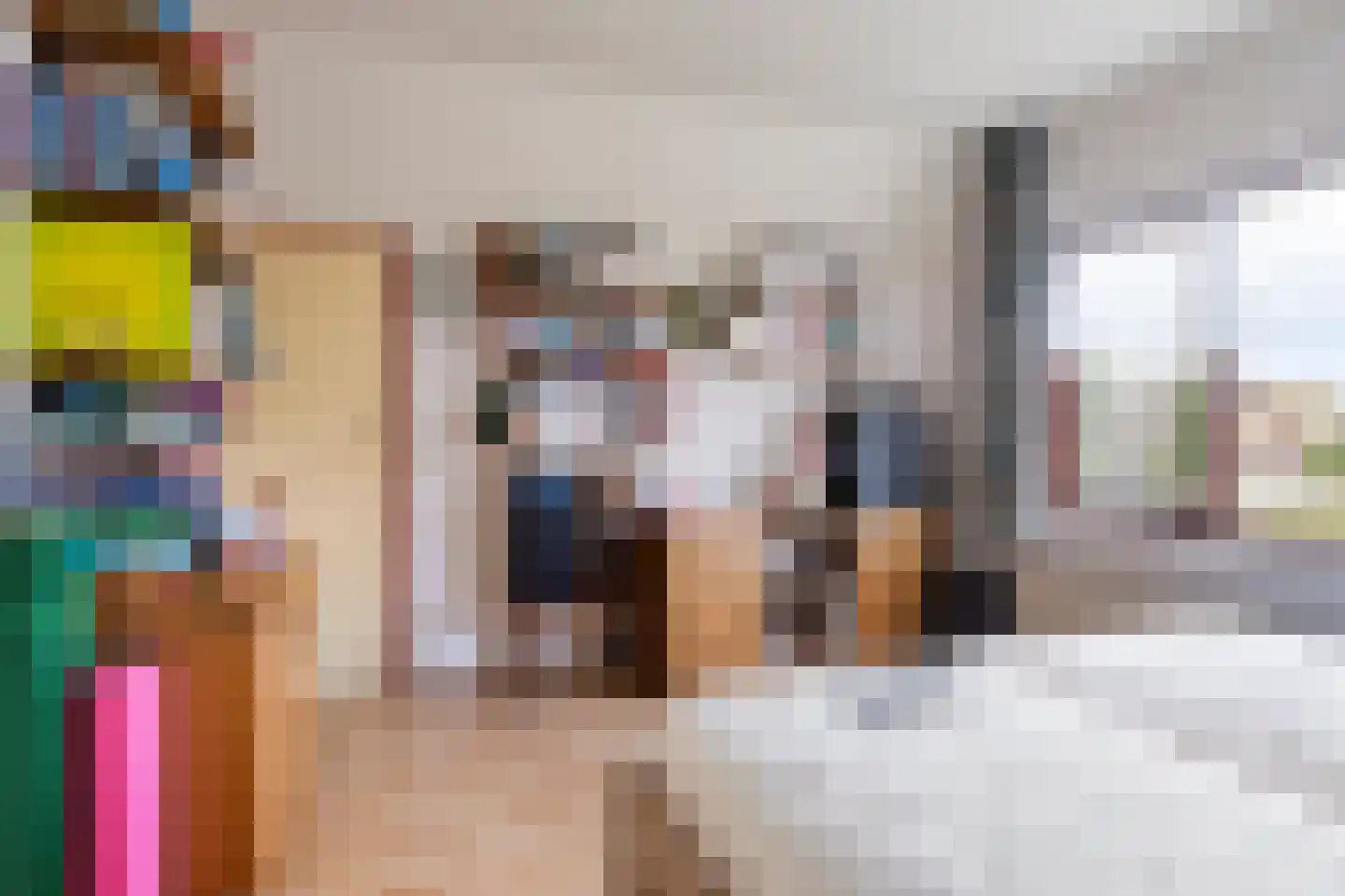 Vincent van Goghstraat 1 Schoondijke thumbnail 25