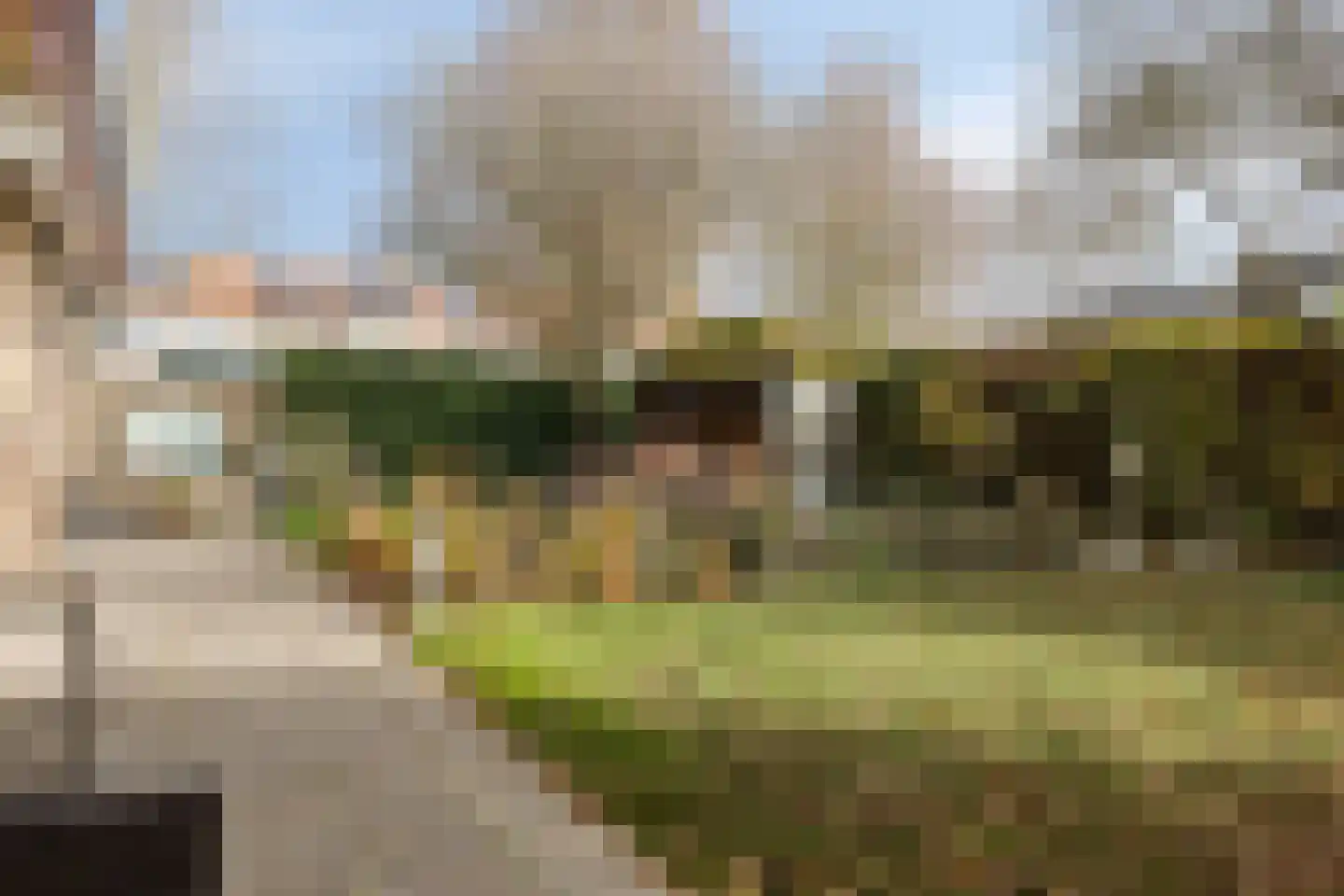 Vincent van Goghstraat 1 Schoondijke thumbnail 29