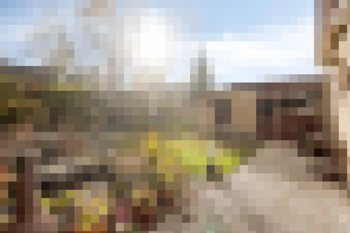 Vincent van Goghstraat 1 Schoondijke thumbnail 30