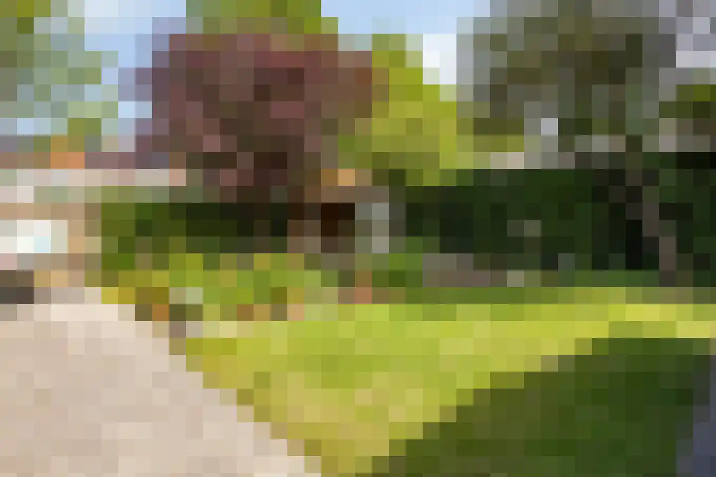 Vincent van Goghstraat 1 Schoondijke thumbnail 31