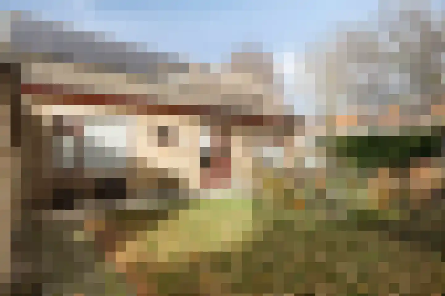 Vincent van Goghstraat 1 Schoondijke thumbnail 31