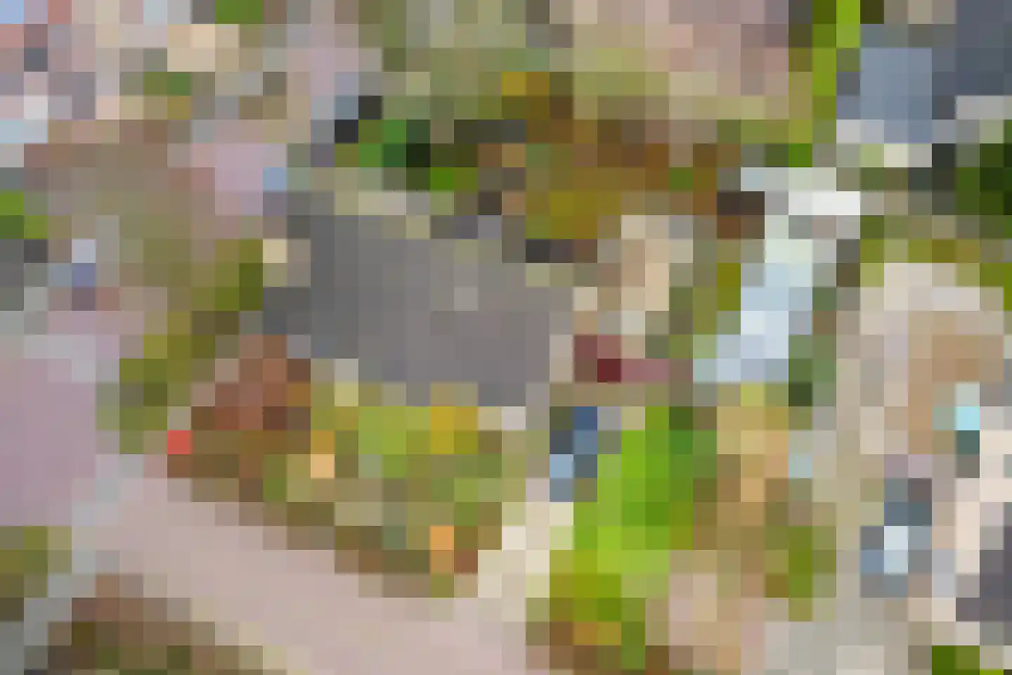 Vincent van Goghstraat 1 Schoondijke thumbnail 33