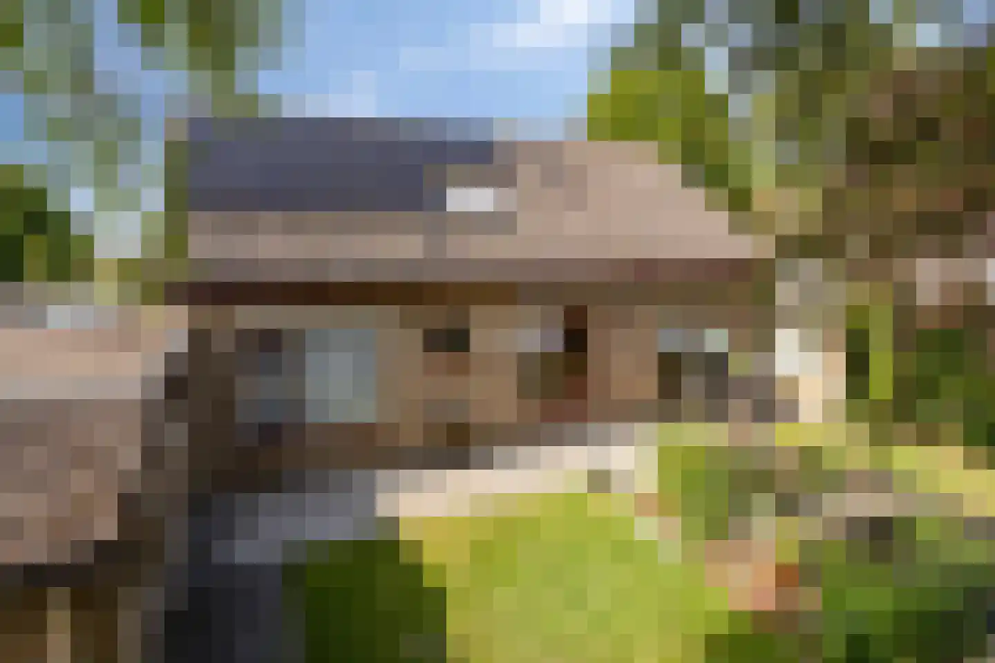 Vincent van Goghstraat 1 Schoondijke thumbnail 33
