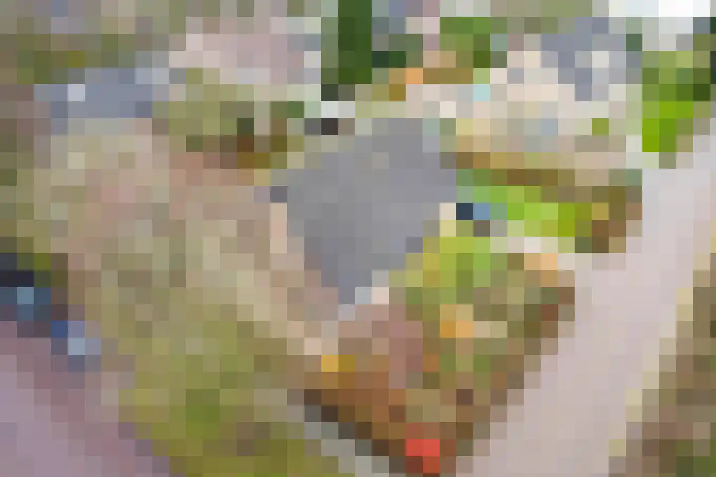 Vincent van Goghstraat 1 Schoondijke thumbnail 34