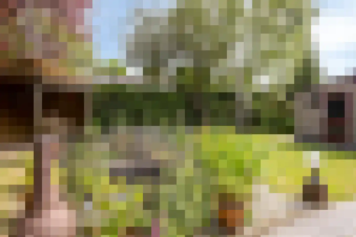Vincent van Goghstraat 1 Schoondijke thumbnail 34