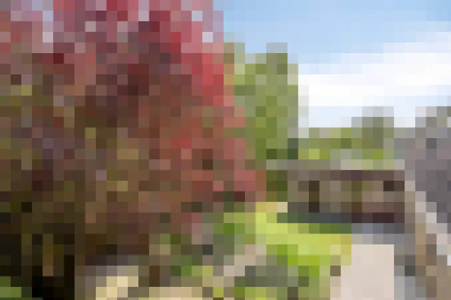 Vincent van Goghstraat 1 Schoondijke thumbnail 35