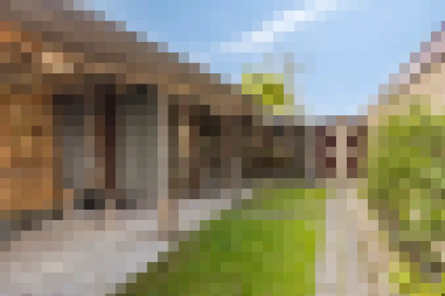 Vincent van Goghstraat 1 Schoondijke thumbnail 36
