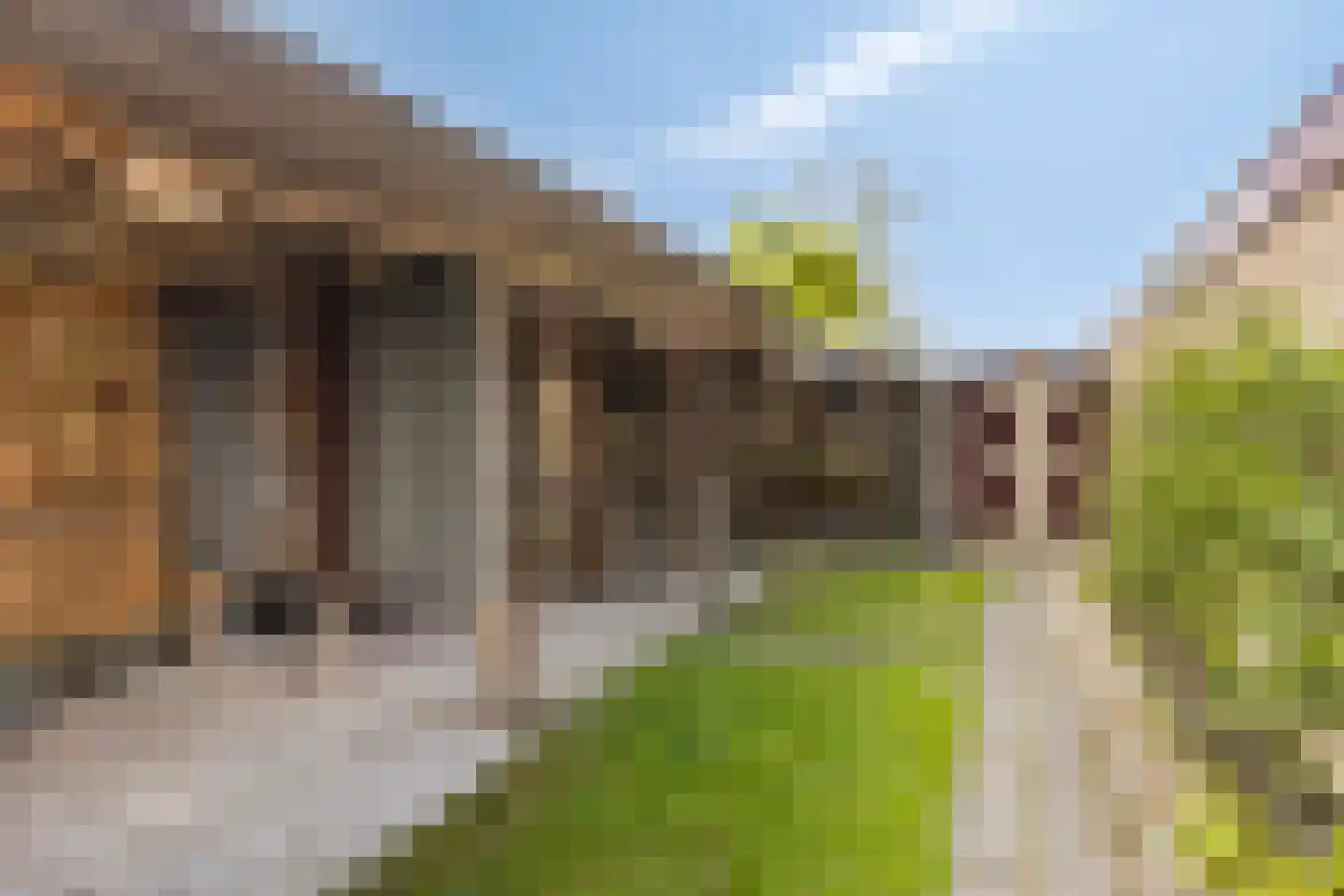 Vincent van Goghstraat 1 Schoondijke thumbnail 37