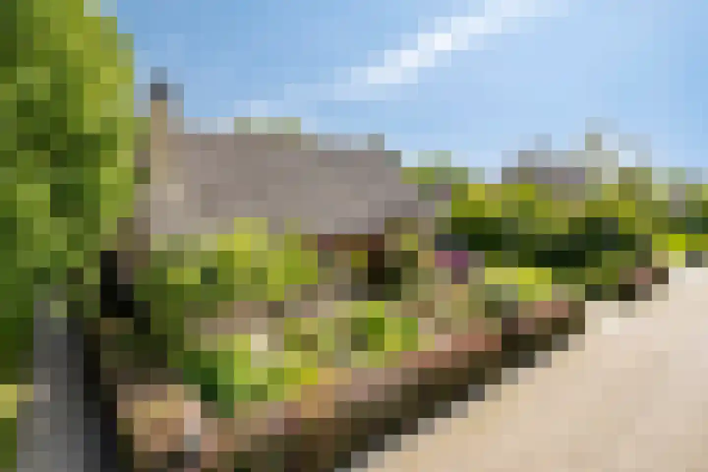 Vincent van Goghstraat 1 Schoondijke thumbnail 4