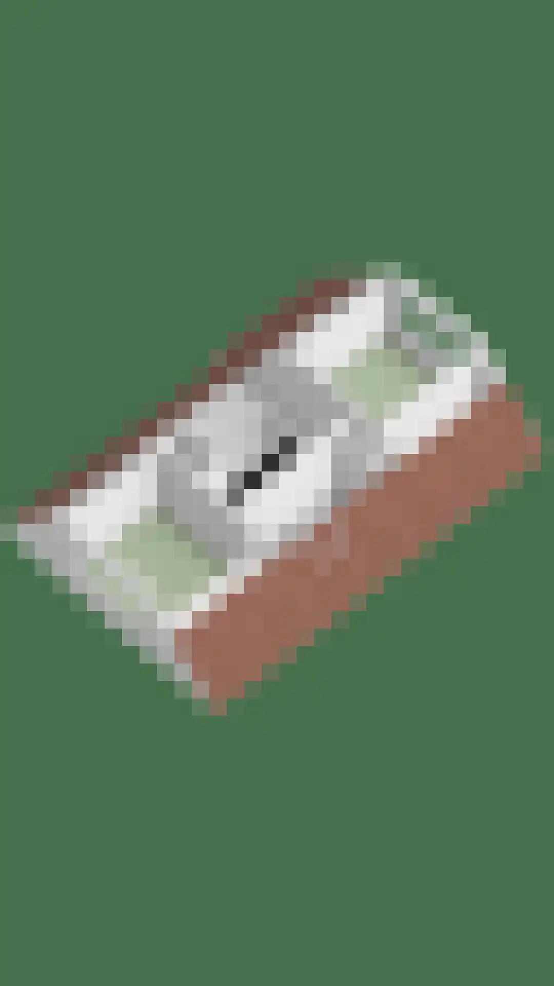 Vincent van Goghstraat 1 Schoondijke thumbnail 42