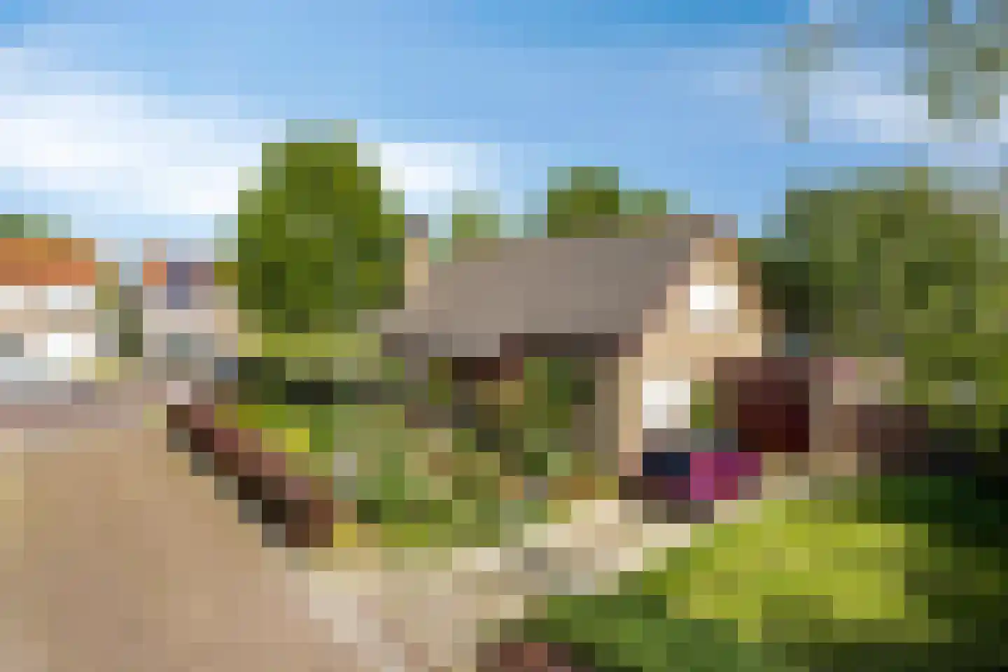 Vincent van Goghstraat 1 Schoondijke thumbnail 5