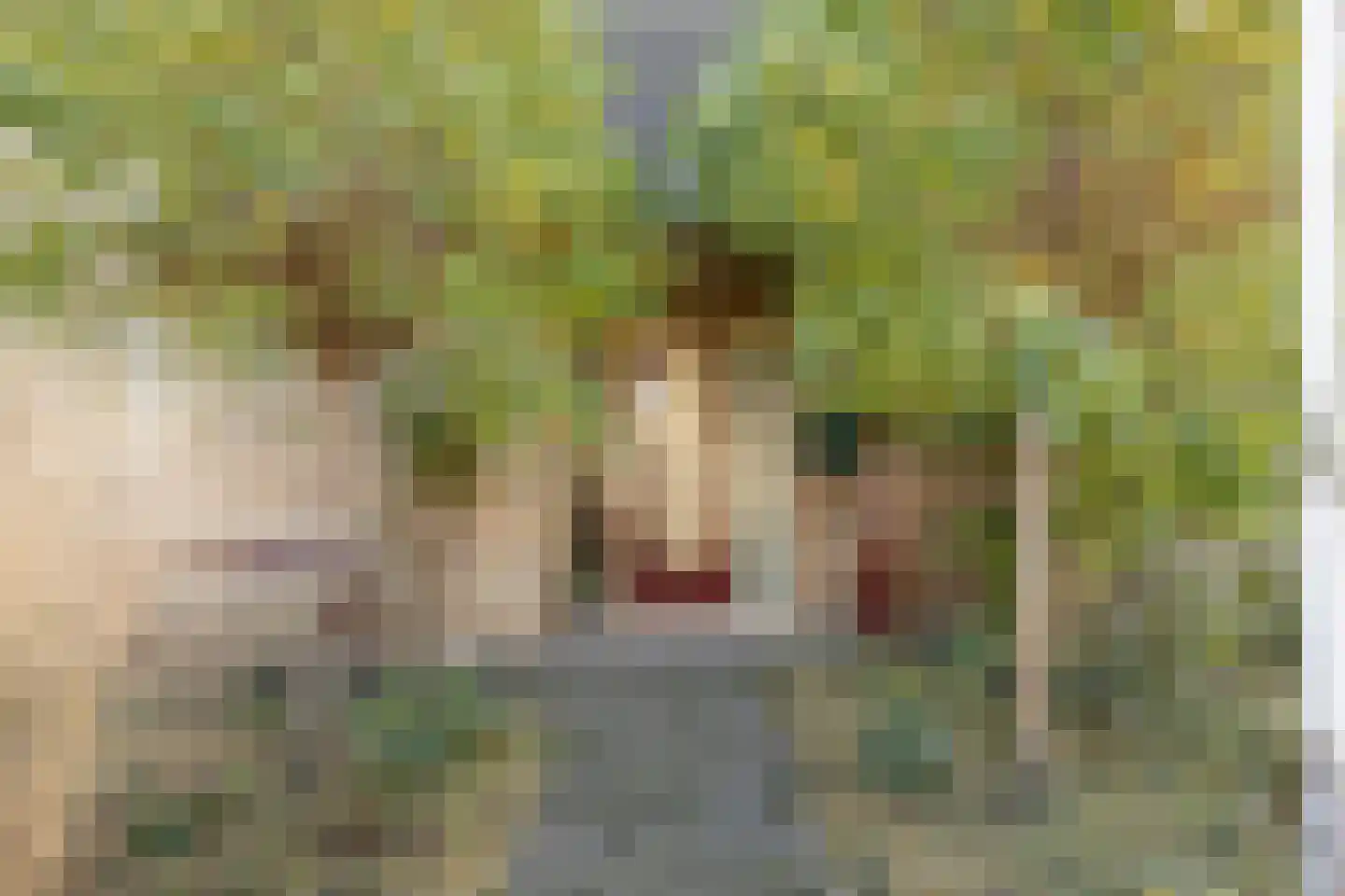 Vincent van Goghstraat 1 Schoondijke thumbnail 6