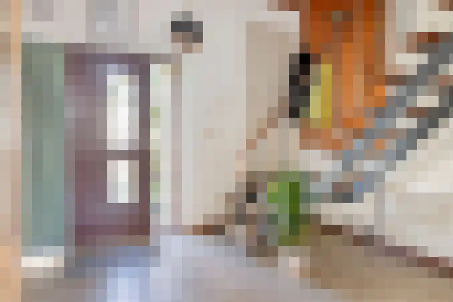 Vincent van Goghstraat 1 Schoondijke thumbnail 7