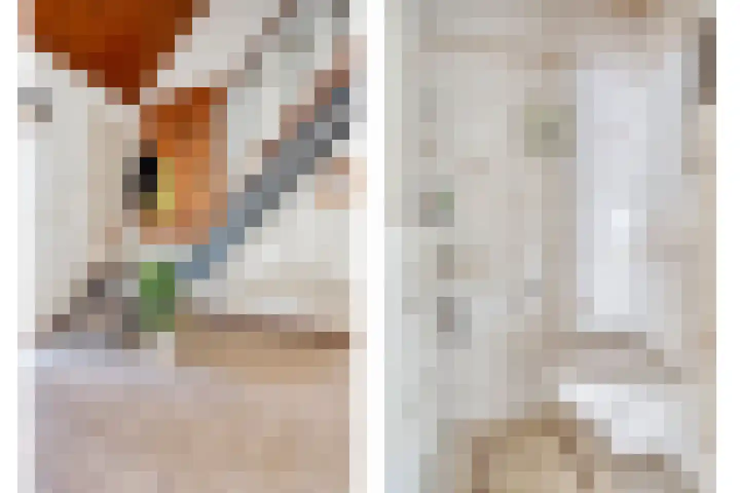 Vincent van Goghstraat 1 Schoondijke thumbnail 8