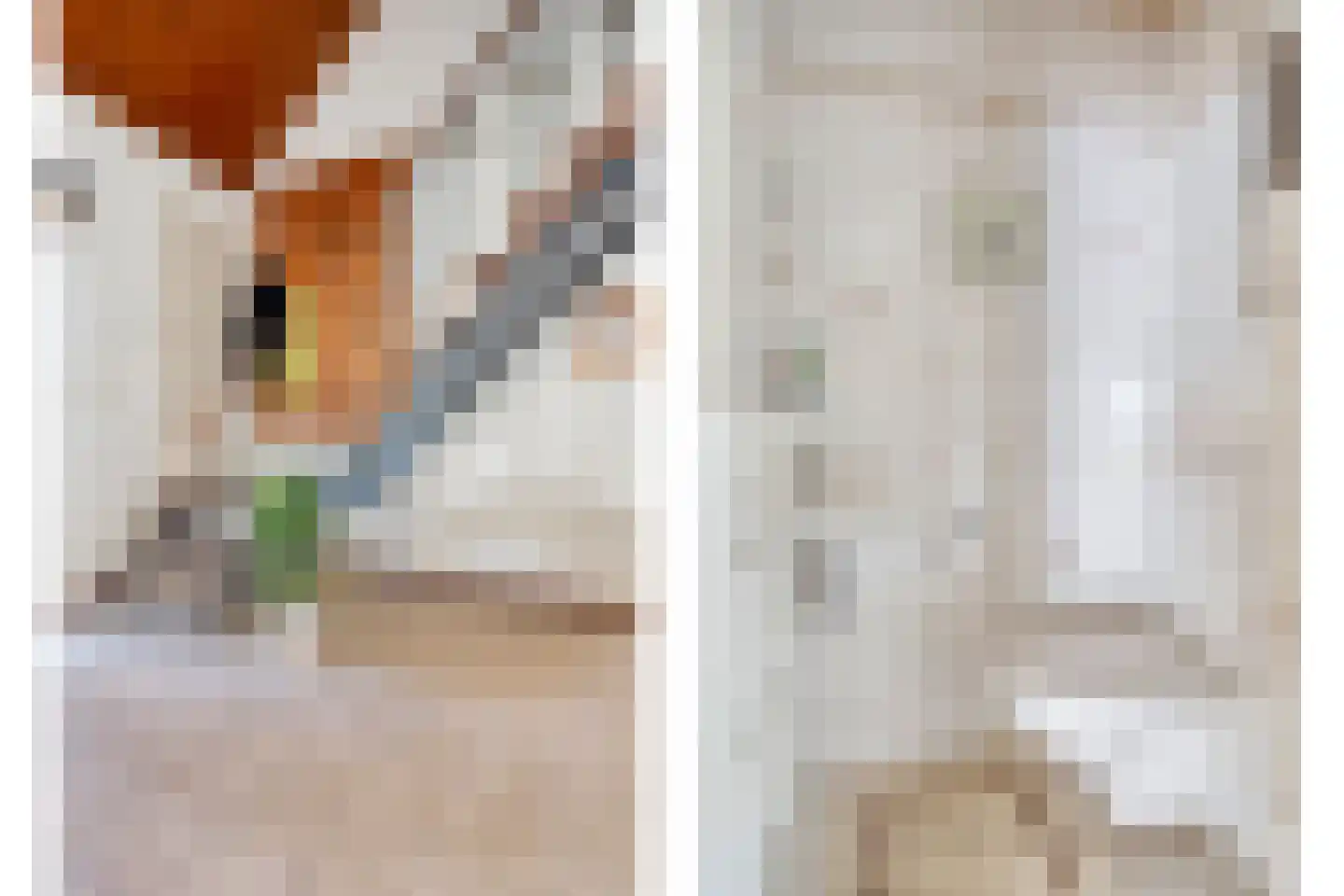 Vincent van Goghstraat 1 Schoondijke thumbnail 9