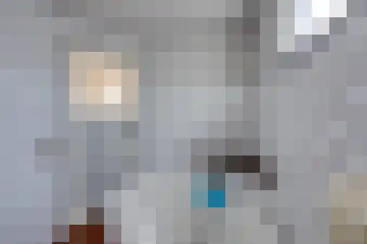 Vincent van Goghstraat 1 Tilburg thumbnail 19