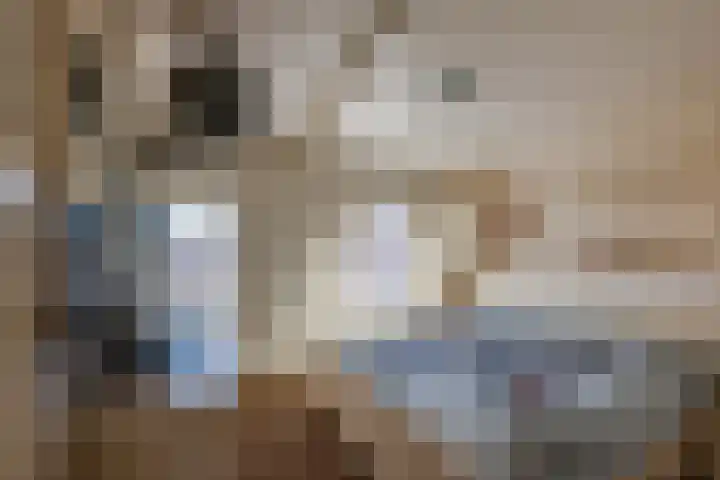 Vincent van Goghstraat 1 Tilburg thumbnail 21