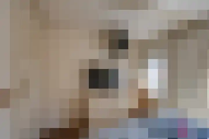 Vincent van Goghstraat 1 Tilburg thumbnail 24