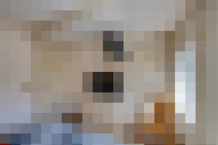 Vincent van Goghstraat 1 Tilburg thumbnail 25