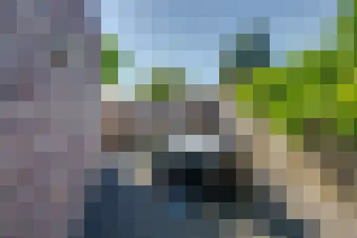 Vincent van Goghstraat 1 Tilburg thumbnail 34
