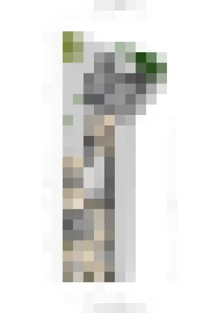 Vincent van Goghstraat 1 Tilburg thumbnail 43