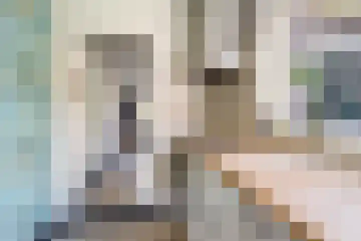 Vincent van Goghstraat 10 A Baarn thumbnail 13