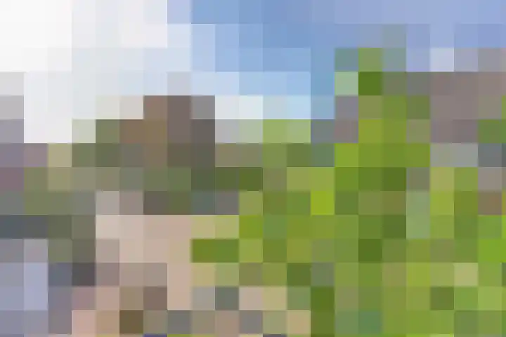 Vincent van Goghstraat 10 A Baarn thumbnail 22