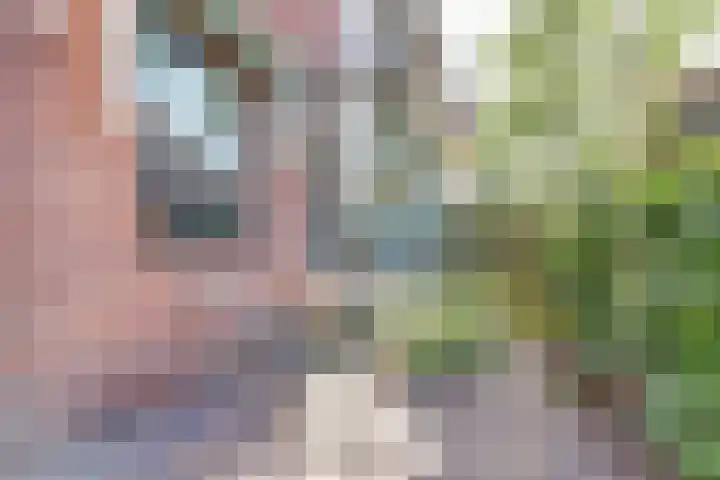 Vincent van Goghstraat 10 A Baarn thumbnail 31