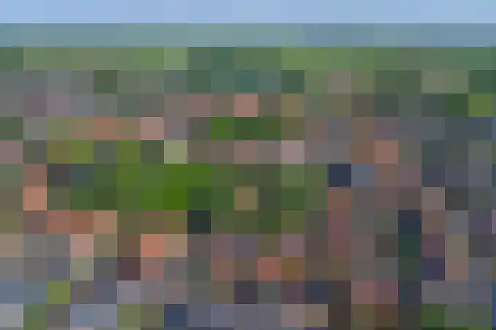 Vincent van Goghstraat 10 A Baarn thumbnail 33