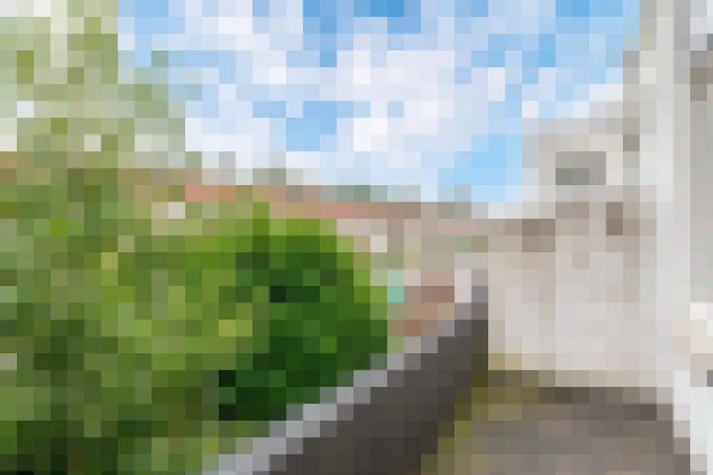 Vincent van Goghstraat 102 Dordrecht thumbnail 24