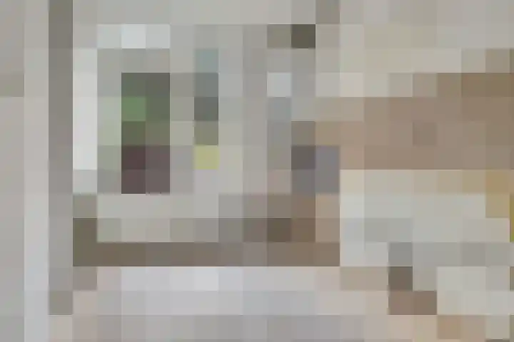 Vincent van Goghstraat 106 Amsterdam thumbnail 14