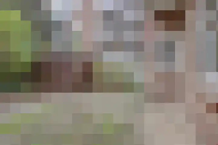 Vincent van Goghstraat 106 Amsterdam thumbnail 22