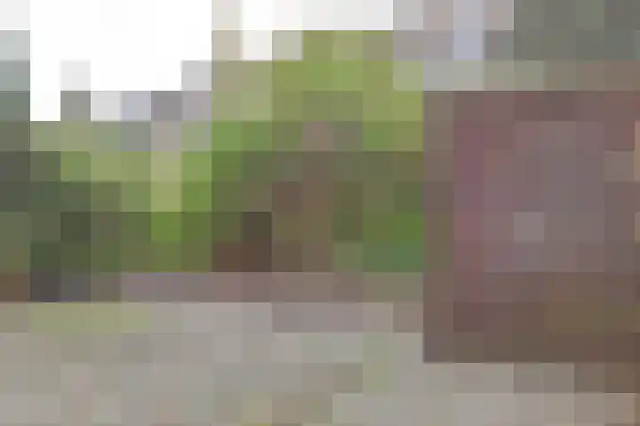 Vincent van Goghstraat 106 Amsterdam thumbnail 23