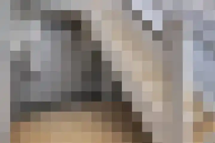 Vincent van Goghstraat 106 Amsterdam thumbnail 7