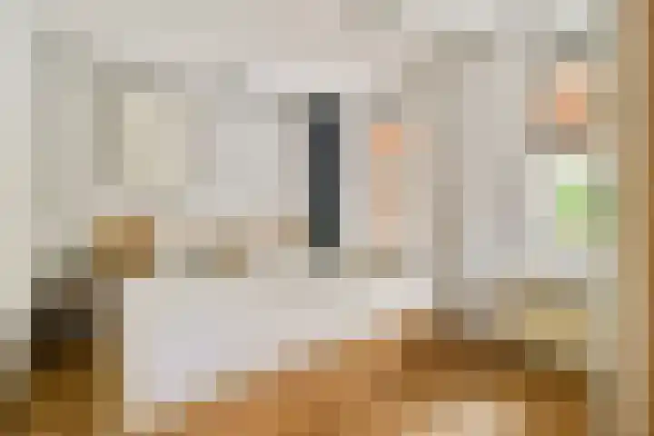 Vincent van Goghstraat 113 Amsterdam thumbnail 10