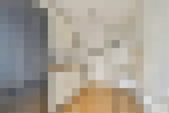 Vincent van Goghstraat 113 Amsterdam thumbnail 14
