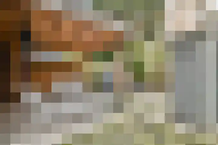 Vincent van Goghstraat 113 Amsterdam thumbnail 15