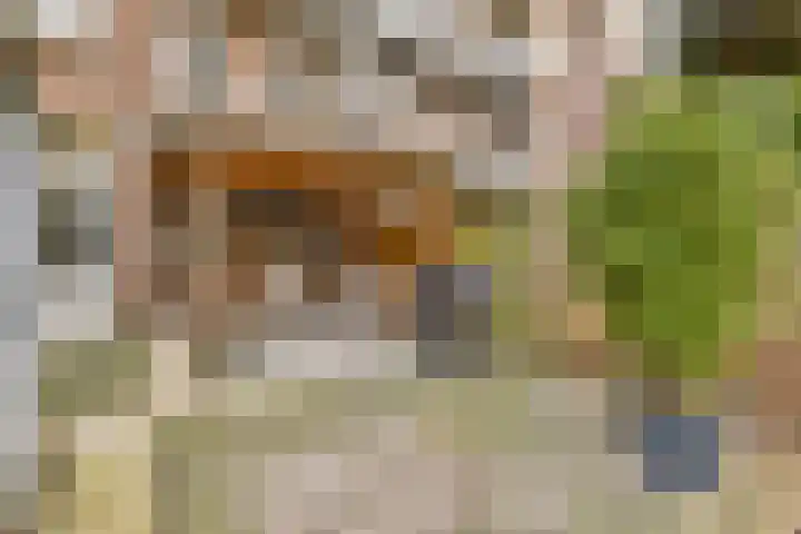Vincent van Goghstraat 113 Amsterdam thumbnail 17