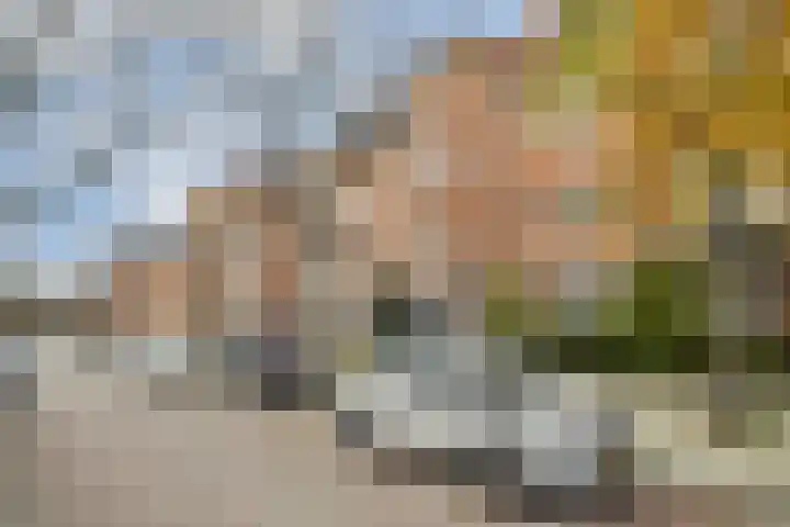 Vincent van Goghstraat 113 Amsterdam thumbnail 20